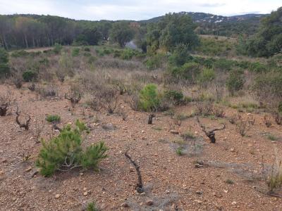 Acheter Terrain 10000 m2 Torderes