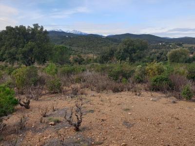 Acheter Terrain Torderes Pyrenees orientales