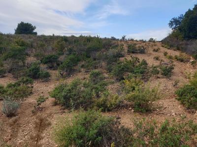 Acheter Terrain Torderes 25000 euros