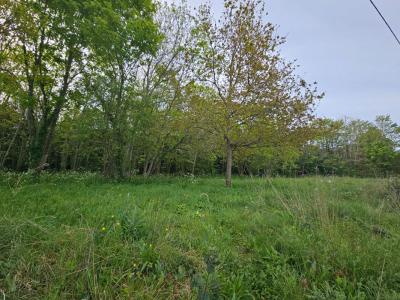 For sale Granville 3917 m2 Manche (50400) photo 4