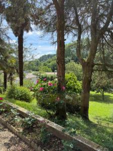 Annonce Vente 5 pi�ces Maison Aire-sur-l'adour 40