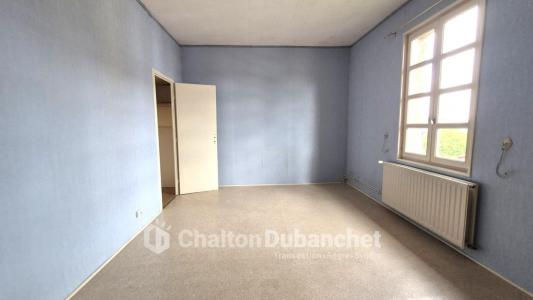 Acheter Maison Saint-romain-le-puy Loire