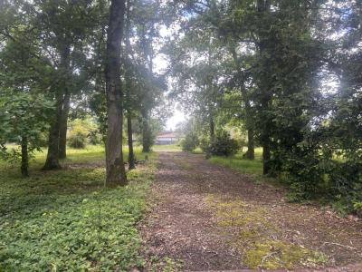 Acheter Maison 90 m2 Taillan-medoc