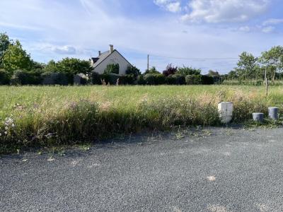 Annonce Vente Terrain Montrelais 44