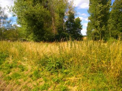 Acheter Terrain Coulanges Loir et cher