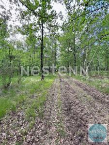 Acheter Domaine forestier Fontaines-en-sologne 127000 euros