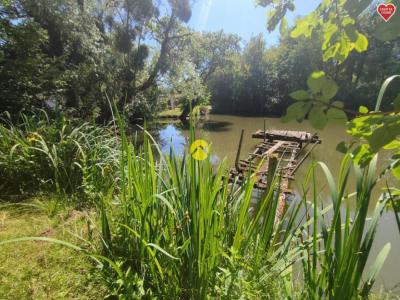For sale Vailly-sur-sauldre 6 rooms 213 m2 Cher (18260) photo 1