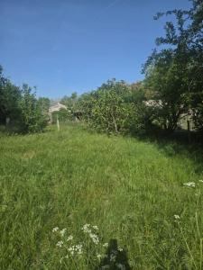 Annonce Vente Terrain Saint-selve 33