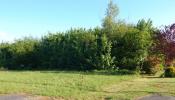 For sale Land Pont-remy  7113 m2