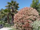 For sale House Cabasse  145 m2 5 pieces