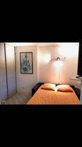 Acheter Appartement Grande-motte 239000 euros