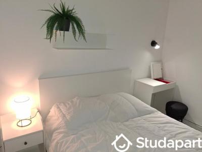 Annonce Location Appartement Montpellier 34