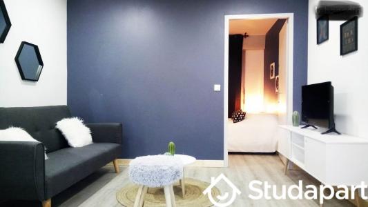 Annonce Location Appartement Villeurbanne 69