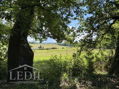 Acheter Prestige Vic-fezensac Gers