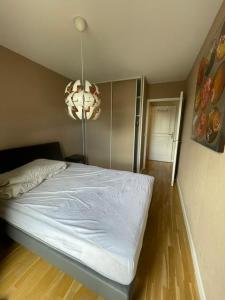 Louer Appartement Villeurbanne 1483 euros