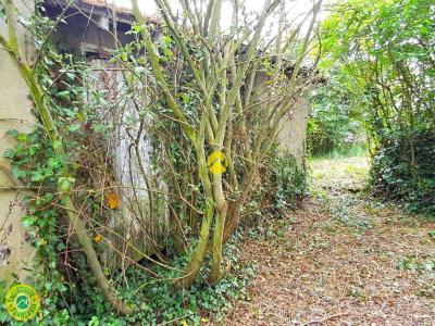 For sale Saint-hilaire 4 rooms 62 m2 Allier (03440) photo 1