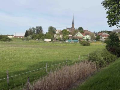 For sale 10 rooms 249 m2 Moselle (57510) photo 0
