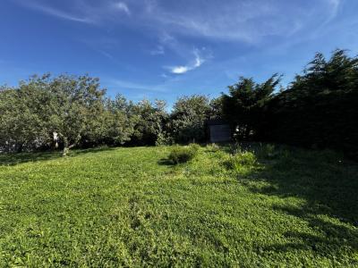 Annonce Vente Terrain  85
