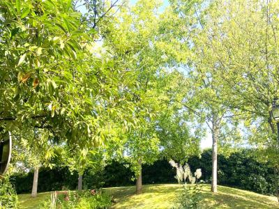 For sale Fontenay-le-fleury 10 rooms 196 m2 Yvelines (78330) photo 0