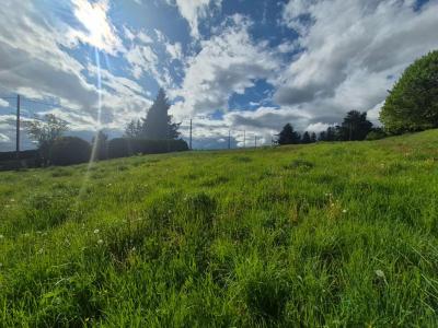 For sale Saint-genest-malifaux 1395 m2 Loire (42660) photo 3