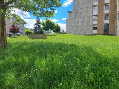 Annonce Location 4 pi�ces Appartement Roche-la-moliere 42