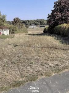 For sale Buxeuil 1803 m2 Indre et loire (37160) photo 0