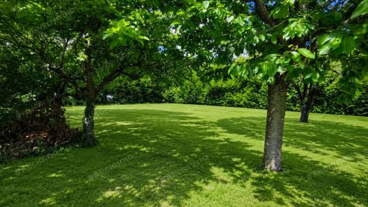 For sale Sezanne 5 rooms 80 m2 Marne (51120) photo 2