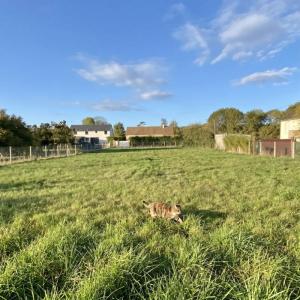 Annonce Vente Terrain Pacy-sur-eure 27