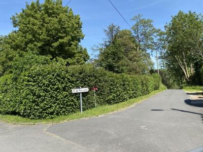 Acheter Terrain Pont-l'eveque 72000 euros