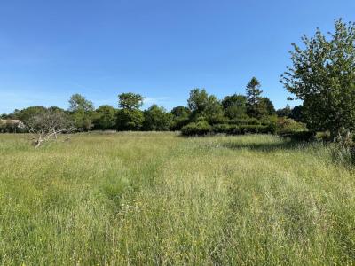 For sale Houlgate 575 m2 Calvados (14510) photo 0