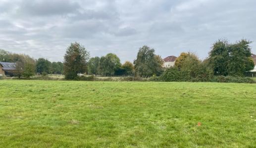 Acheter Terrain Beuzeville 67800 euros