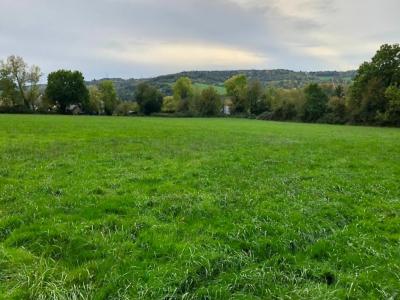 Acheter Terrain 517 m2 Breuil-en-auge