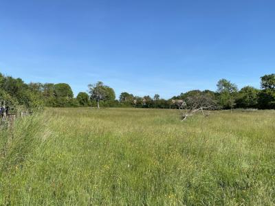 Acheter Terrain 695 m2 Auberville