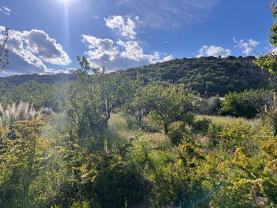 For sale Cornas 520 m2 Ardeche (07130) photo 0