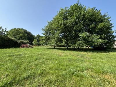 For sale Camarsac 580 m2 Gironde (33750) photo 0