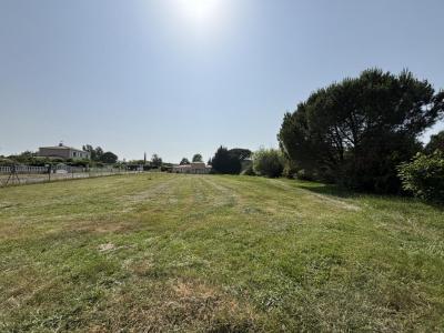 Acheter Terrain Camarsac Gironde