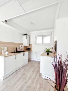 Acheter Appartement 49 m2 Arbouans