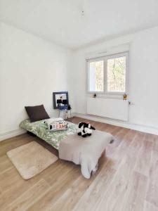 Acheter Appartement Arbouans 68000 euros