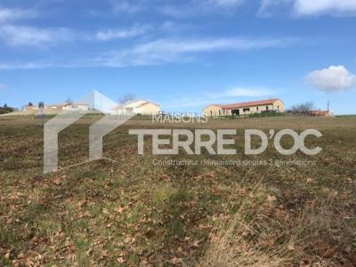 Annonce Vente Maison Soual 81