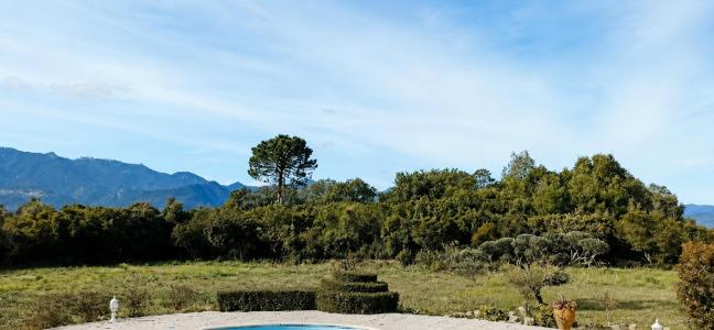 Acheter Maison Ghisonaccia 740000 euros