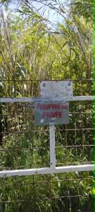 Annonce Vente Terrain Montfrin 30