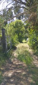 Acheter Terrain 4045 m2 Montfrin