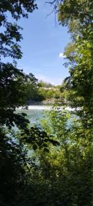 Acheter Terrain Montfrin 19800 euros