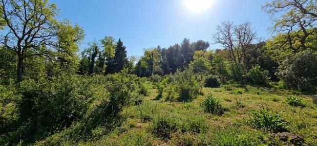 Acheter Terrain 263 m2 