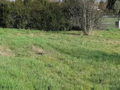 For sale Bordeaux 200 m2 Gironde (33200) photo 0