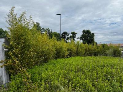 Annonce Vente Maison Bordeaux 33