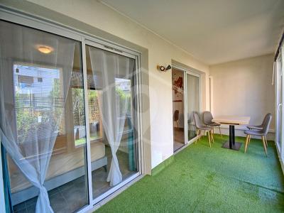 Annonce Location 2 pi�ces Appartement Vallauris 06