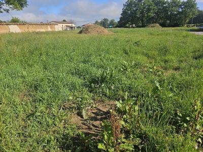 Annonce Vente Terrain Montrond-les-bains 42