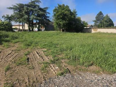 Acheter Terrain Montrond-les-bains Loire