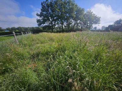 Acheter Terrain Montrond-les-bains 150000 euros